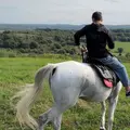 Я Alihan, 18, знакомлюсь для дружбы в Нальчике