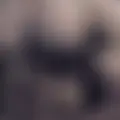 Temirlan из Астаны, ищу на сайте на одну ночь