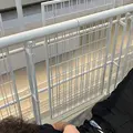 Я Антон, 18, из Москвы, ищу знакомство для дружбы