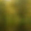Evgenio из Кривого Рога, ищу на сайте на одну ночь