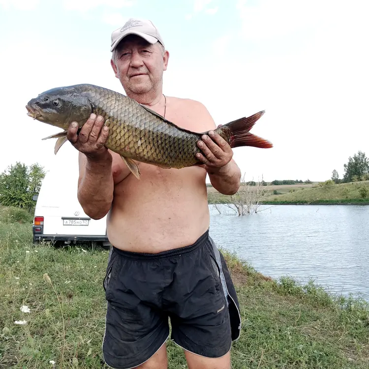 Я Сергей, 60, знакомлюсь для регулярного секса в Ливнах